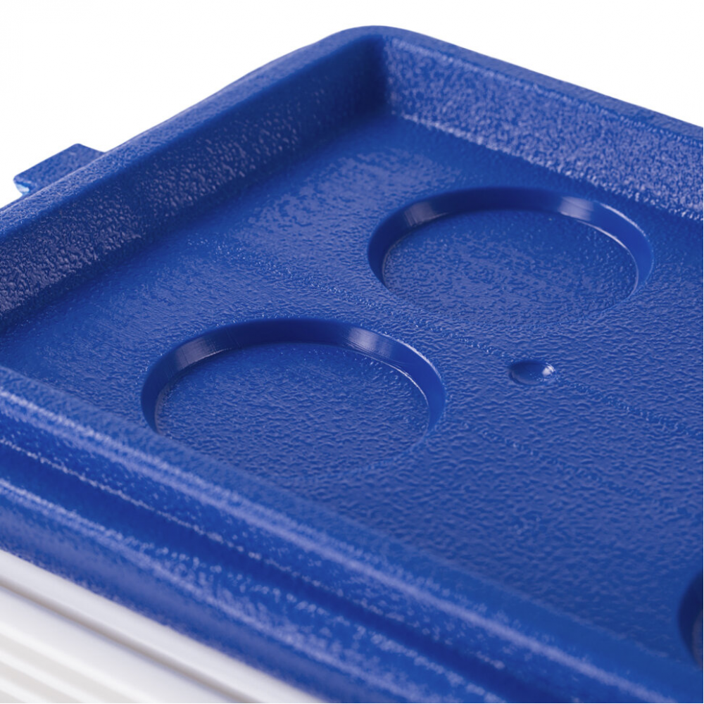 Термобокс Giostyle Bravo 25 л